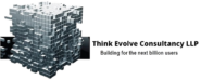 Think Evolve Consultancy